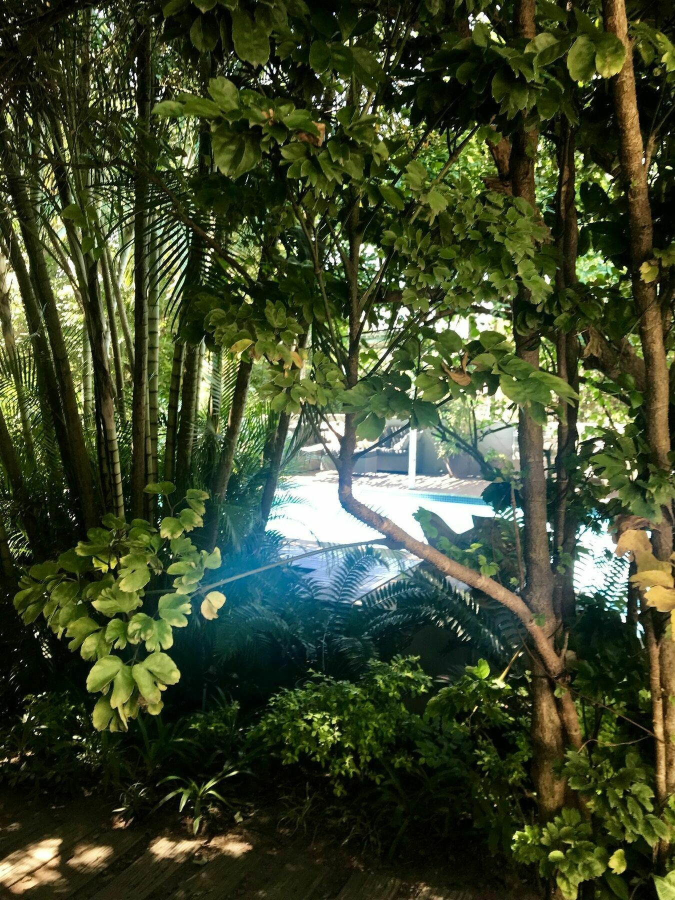 Beach Forest Lodge Ballito Exterior photo